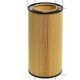 OLIEFILTER HENGST DAF - BOVA